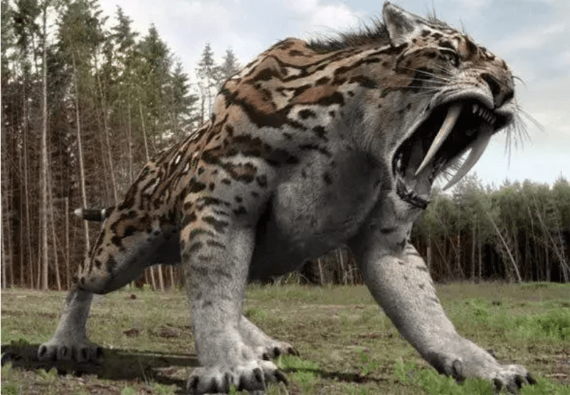 List of 21 Animals That No Longer Exist