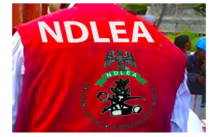 Nigeria’s Anti-Narcotic Agency NDLEA Intercepts Over N7Billion Worth Of Opioids At Apapa, Onne Seaports – HEARD VOICE NEWS ONLINE