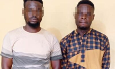 Ogun: Police arrest two brothers for alleged rape, kidnap of 17-year-old girl