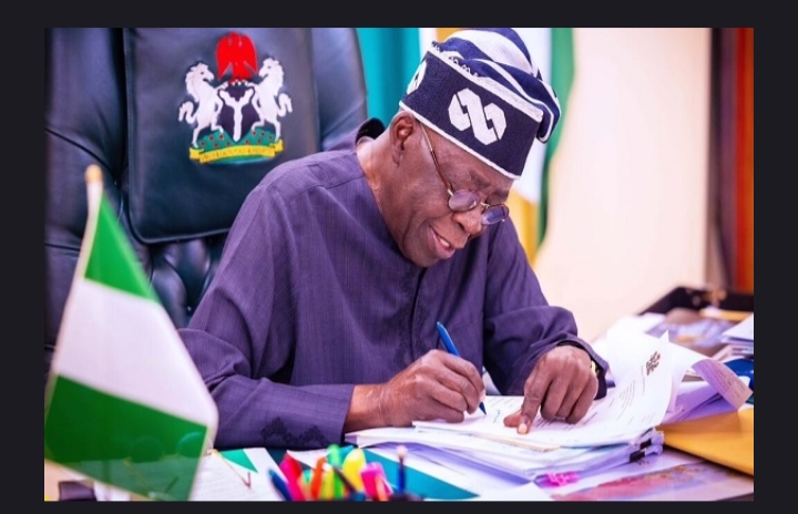 President Tinubu makes new appointment