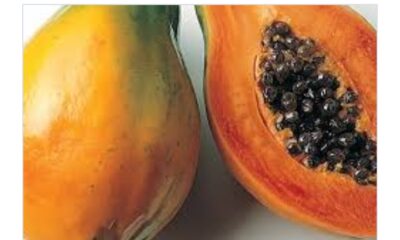 See Shocking Health Benefits Of Eating PAWPAW On An Empty STOMACH – HEARD VOICE NEWS ONLINE