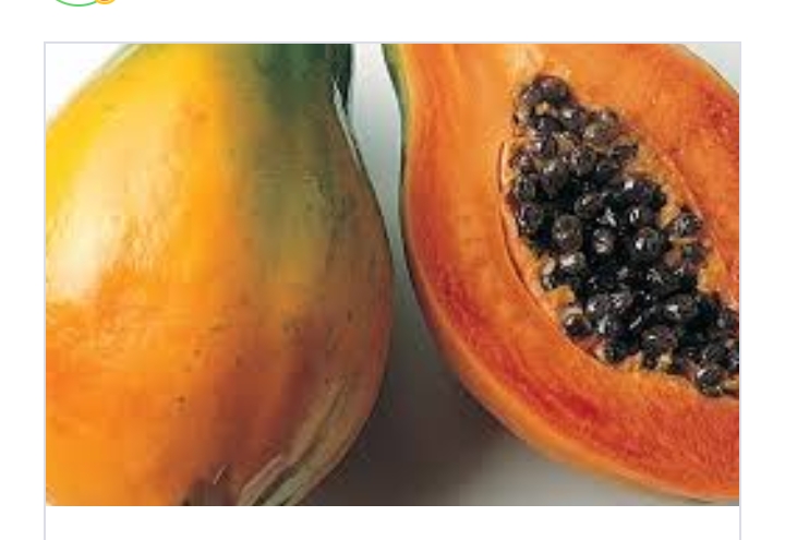 See Shocking Health Benefits Of Eating PAWPAW On An Empty STOMACH – HEARD VOICE NEWS ONLINE