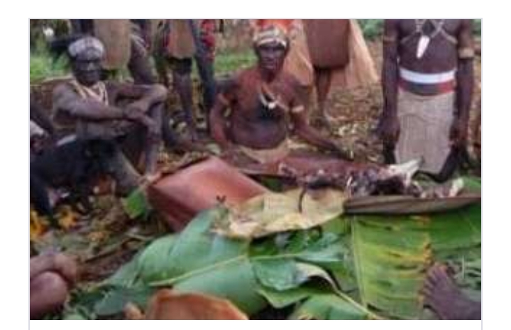 UNBELIEVABLE! See The Tribe Of Cannibals That Eats Armed Robbers As Punishment Except For Their Genitals- See Why – HEARD VOICE NEWS ONLINE