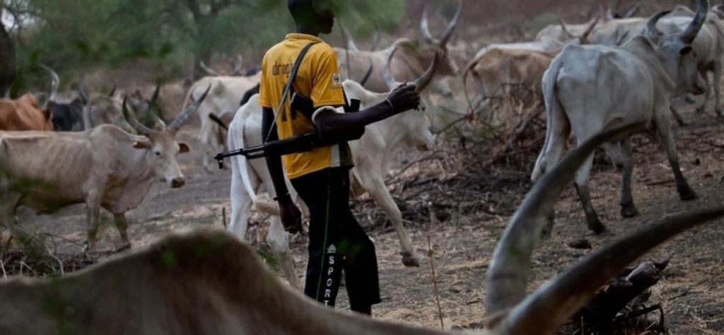 13 killed as herdsmen launch fresh attack on Benue community – HEARD VOICE NEWS ONLINE