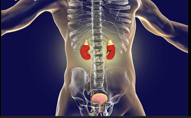 Abuse Of These 3 Drugs Will Destroy Your Kidneys And Your Liver