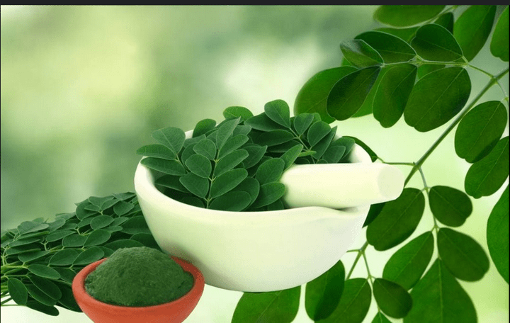 Did You Know That Moringa Leaves Can Help Get Rid Of Pimples And Acne? This Is How