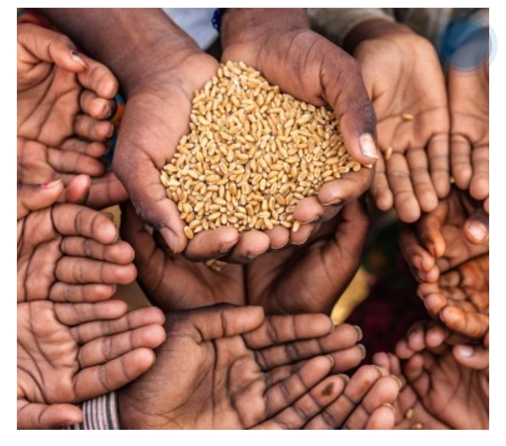 Father Mbaka Declares Nigeria In ‘Hunger Stage, Reveals What To Do To Avoid Incoming Starvation – HEARD VOICE NEWS ONLINE