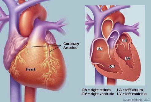 If Your Heart Is In Danger Your Body Will Give You These 11 Signs