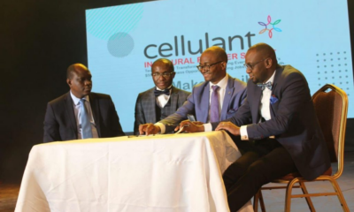 Vacancies at Cellulant Corporation