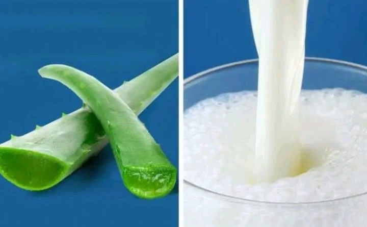 When Combined, Aloe Vera And Milk Work Wonders. Here Are Some Of The Hidden Advantages Of This Combination.